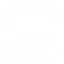 朱雀扇