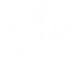 アンプリフィケーション・マトリックス