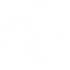 体術