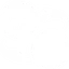 パルサー・トーピード