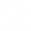 命の樹