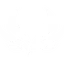 ヴァルキリー