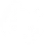 ロール